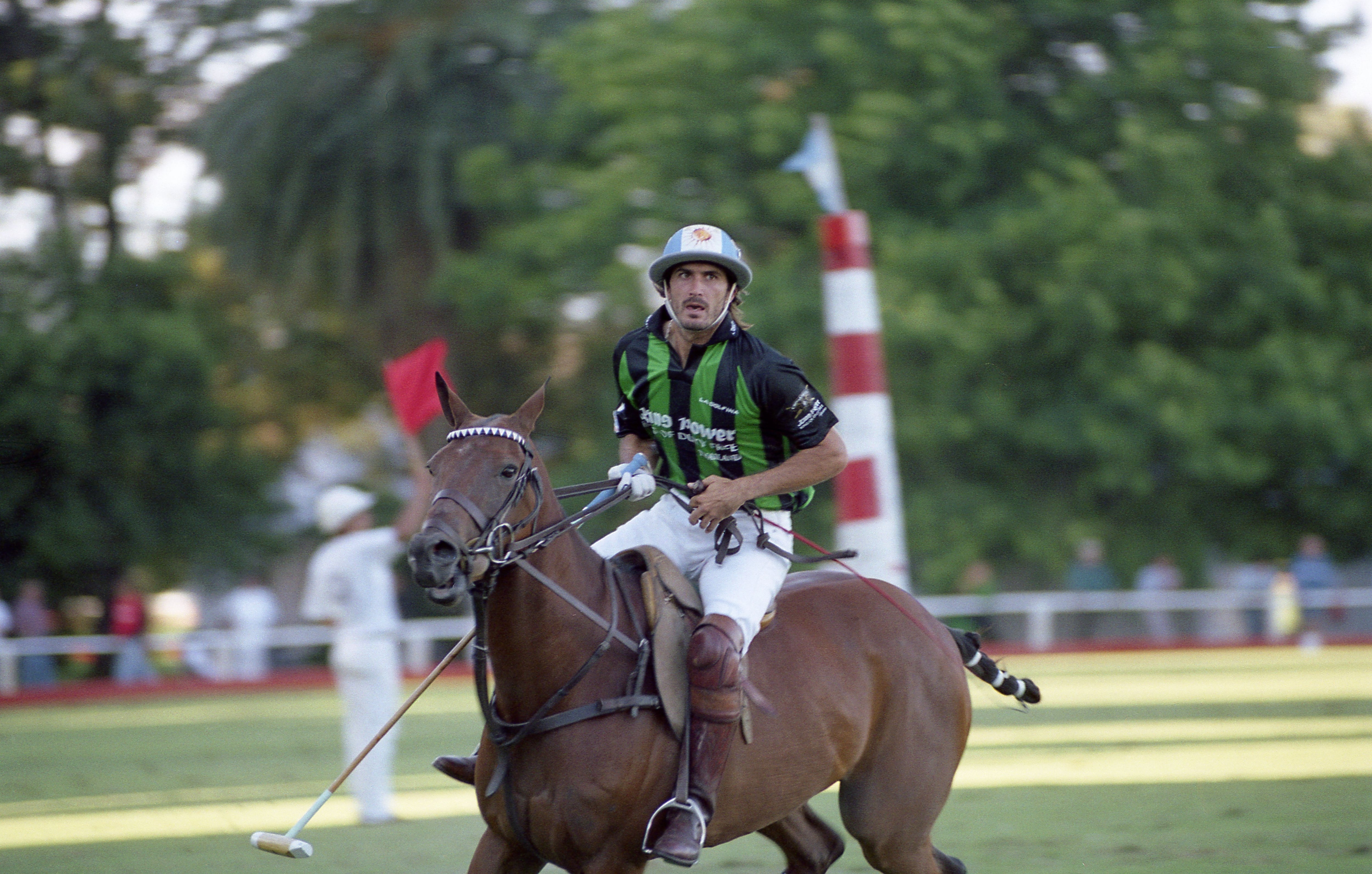 Chicago- La Dolfina. 2002. Cambiaso. 20 años