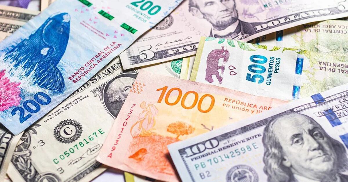 Options for savers: how the option to invest in pesos and receive dollars works