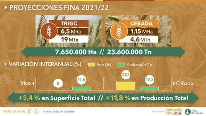Proyecciones de la Bolsa de Cereales de Buenos Aires para la próxima campaña de cultivos de invierno. (Bolsa de Cereales de Buenos Aires) 