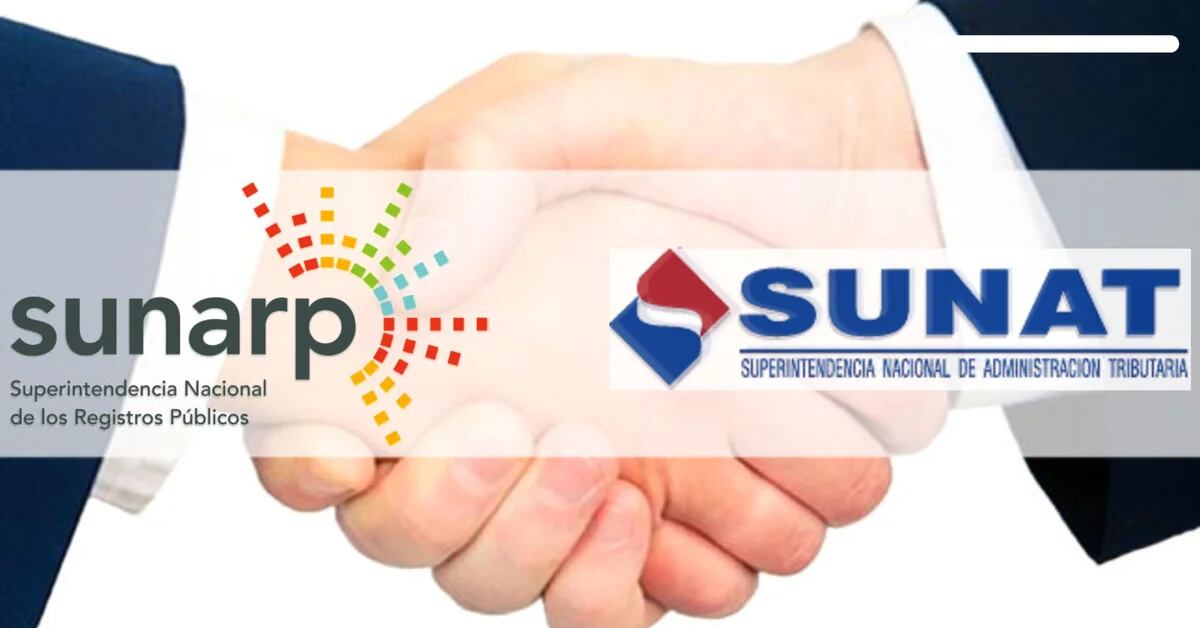 Sunarp: What is the difference between the types of companies SAC, SA, SAA, EIRL and SRL?