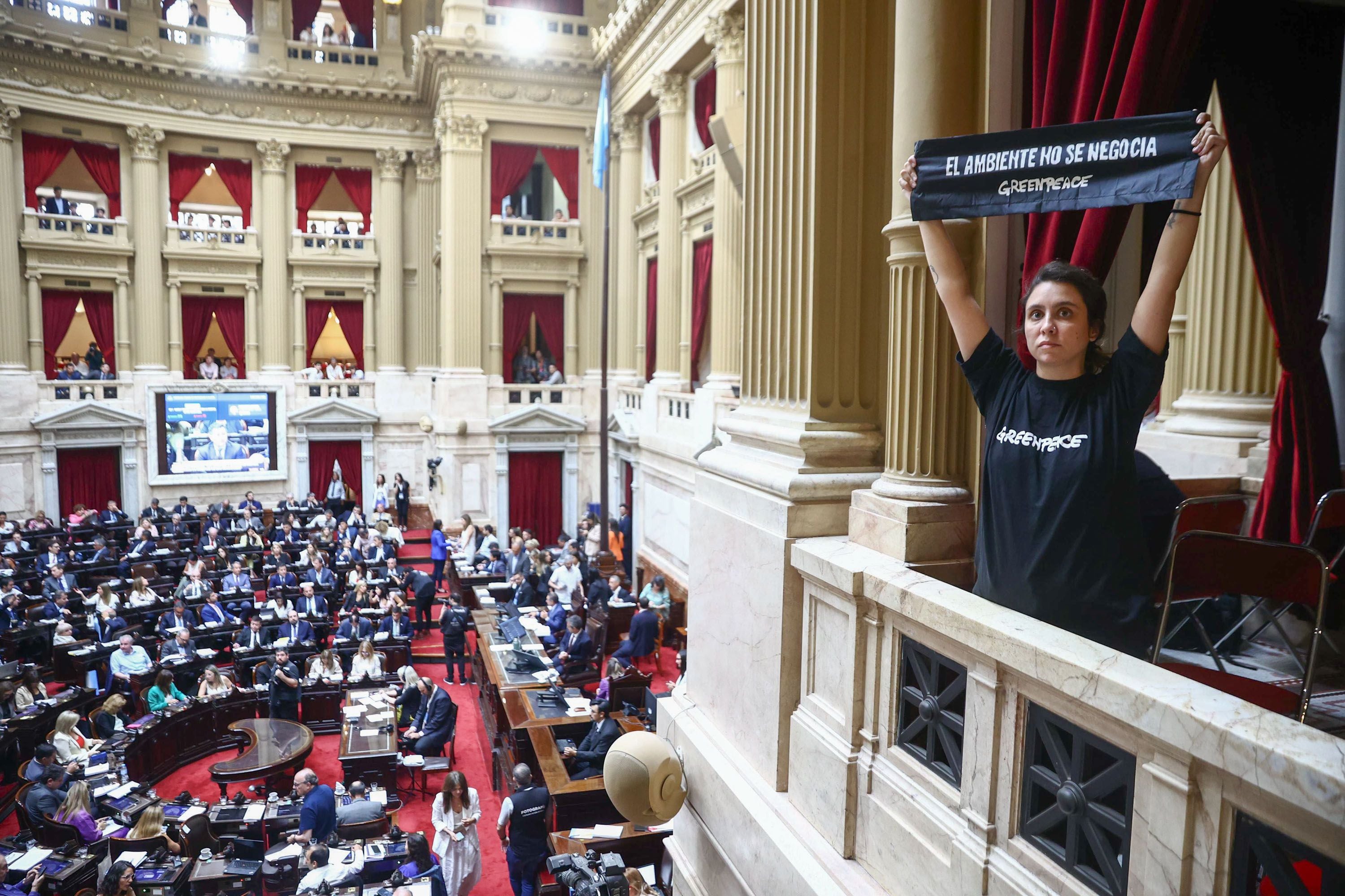 La Ley Ómnibus encontró resistencia en diversos sectores EFE/ Greenpeace Argentina
