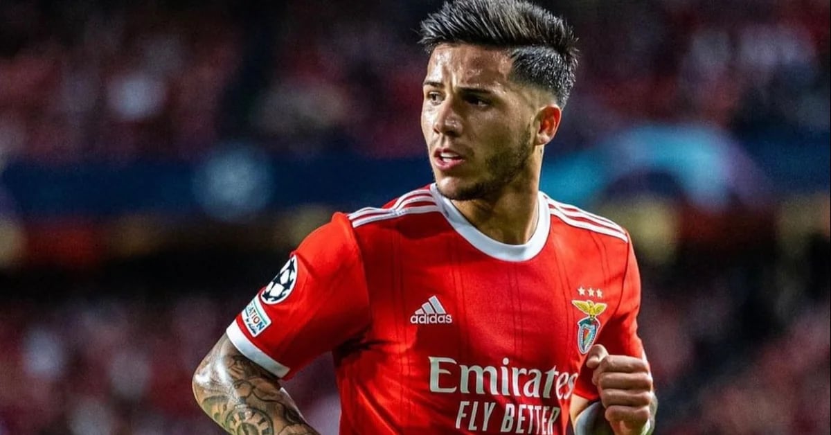 Una risposta enfatica dell’allenatore del Chelsea al Benfica a favore di Enzo Fernandez