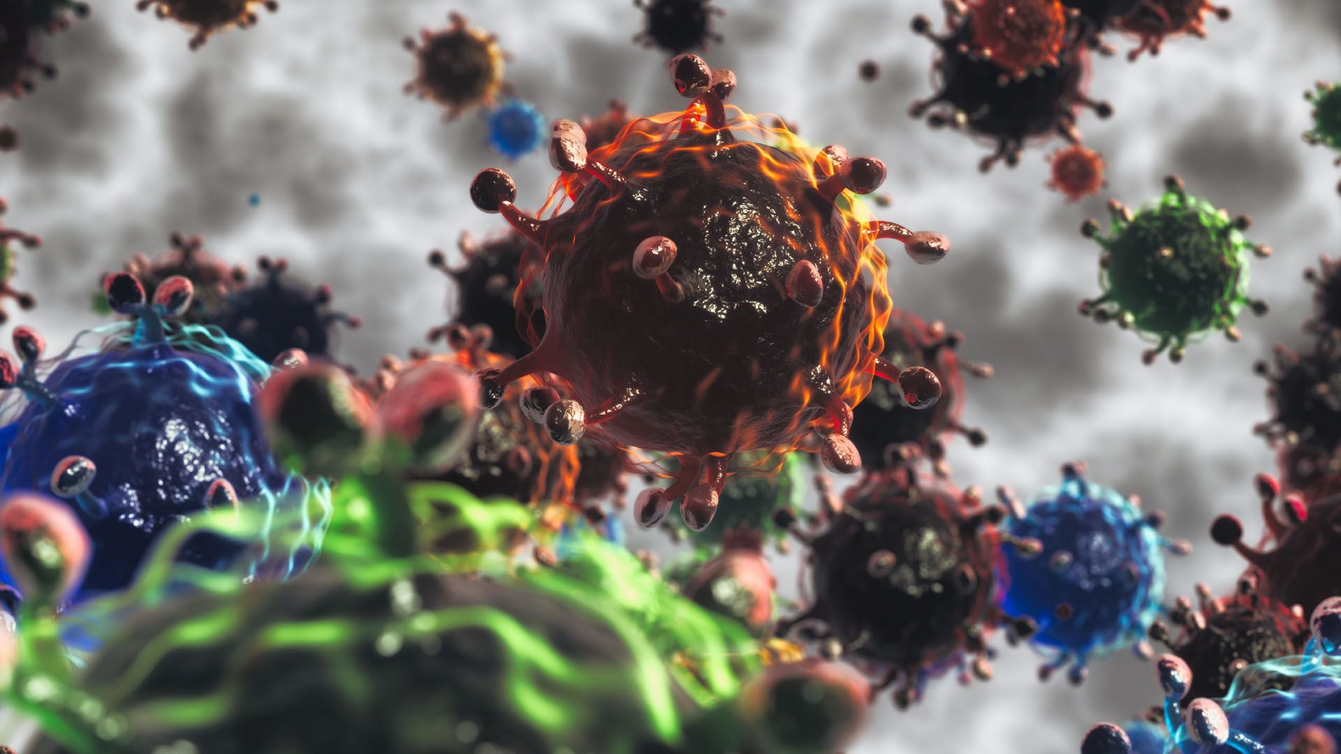 mutacion und covid 19 coronavirus