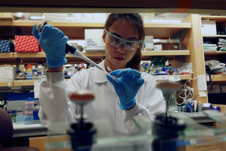 Una investigadora trabaja en un laboratorio de la Facultad de Medicina de Duke-NUS, que está desarrollando una forma de rastrear los cambios genéticos que aceleran las pruebas de vacunas contra la enfermedad del coronavirus, en Singapur (REUTERS/Joseph Campbell)