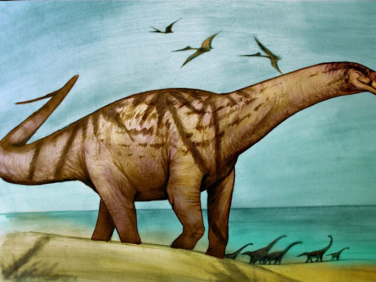Dinosaurios de la Patagonia: cuáles son los tres hallazgos que cambian lo  que se sabía hasta hoy - Infobae
