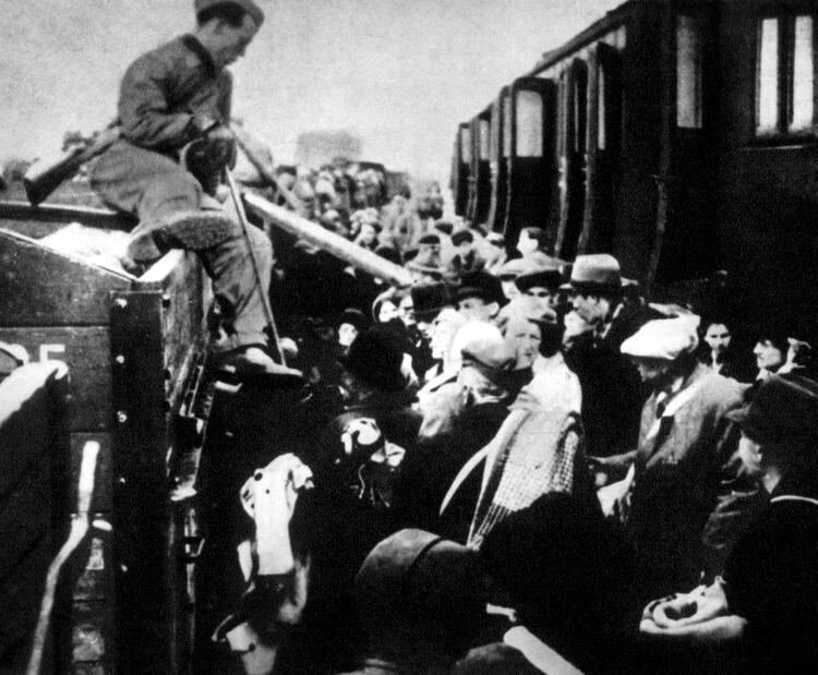 Prisioneros arriban al campo de exteminio en tren (Everett/Shutterstock)