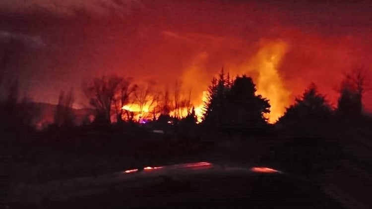 El incendio forestal se provocó en Potrerillos (Twitter: @Cadena3Com)