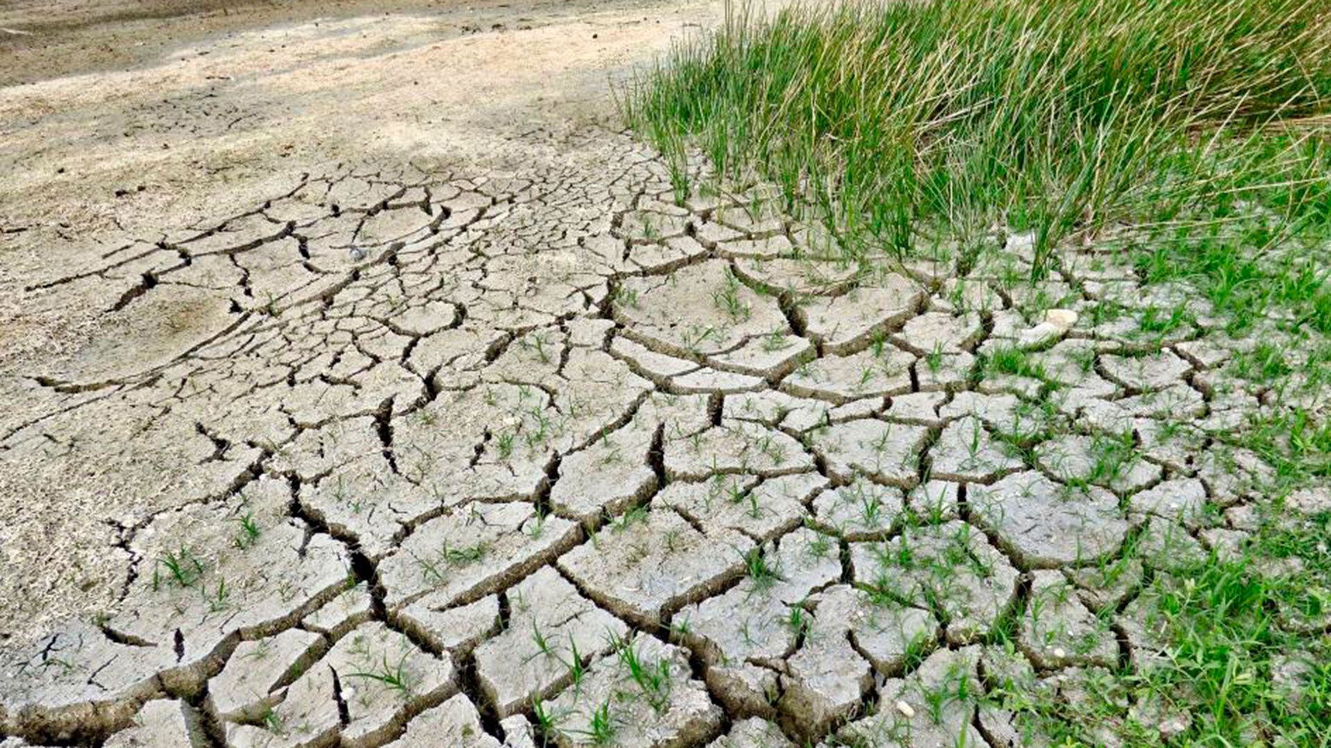 sequía en un campo de Canelones Uruguay