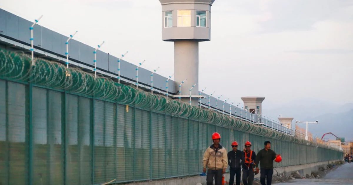 Violenza sessuale, cure mediche forzate e detenzione arbitraria: la brutale tortura degli uiguri da parte del regime cinese