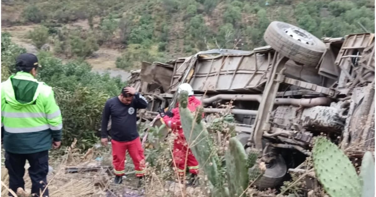 Tragedy in Huancavelica LIVE: More than 20 killed as Molina company bus falls into ditch