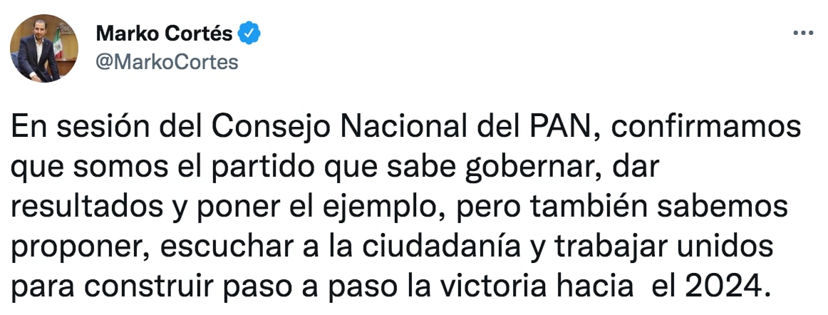 Marko Cortés comentó que el PAN es el partido"que más echa para adelante" (Foto: Twitter)
