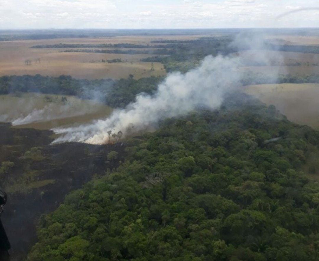 Incendios Parque Nacional El Tuparro-Meta-Colombia