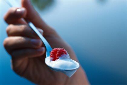 Por qué el yogur es un auténtico superalimento, protagonista ideal en la vida moderna (Shutterstock)