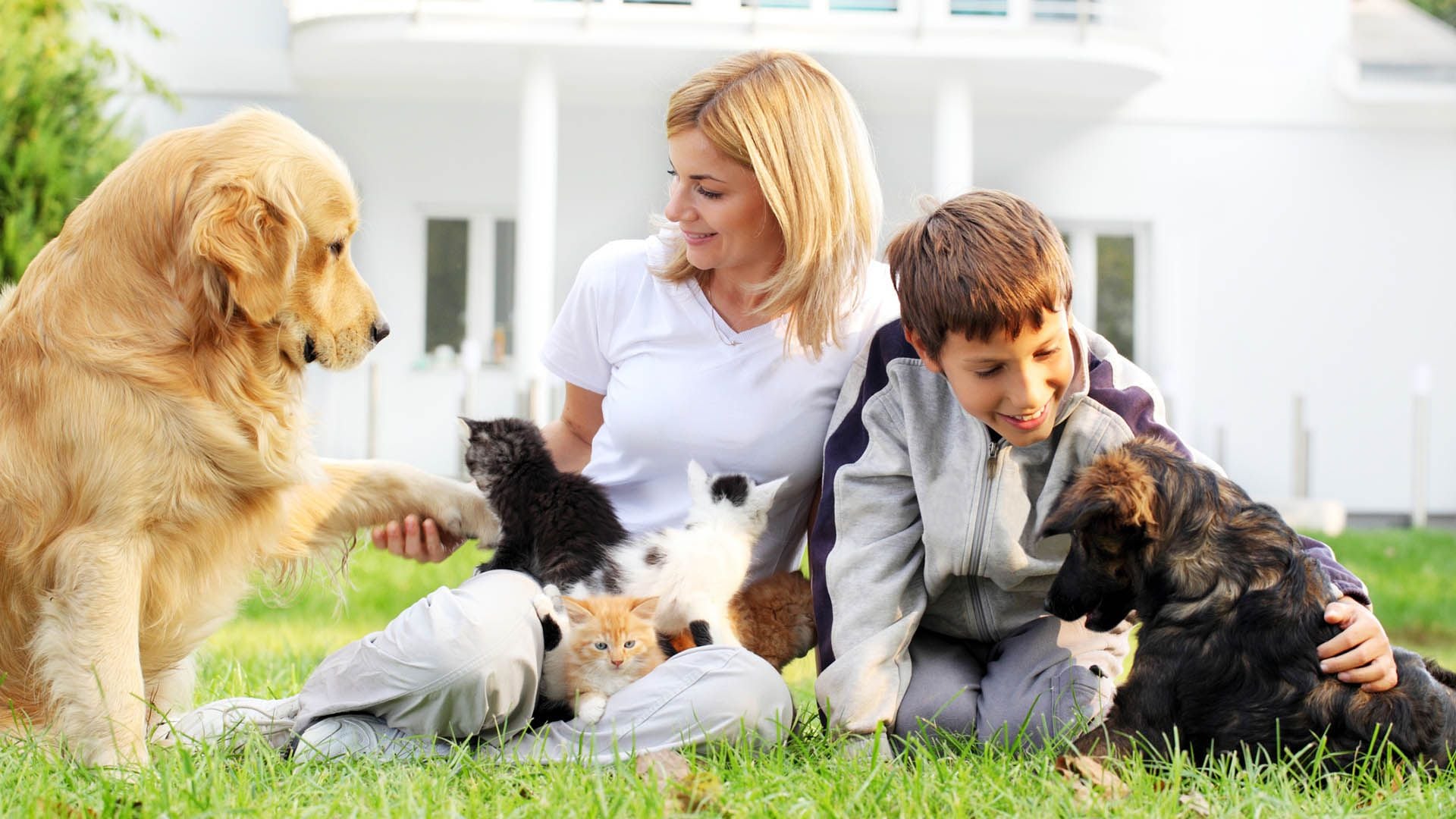 Los gatos y los perros están entre los animales más elegidos para acompañar en los hogares (Getty)
