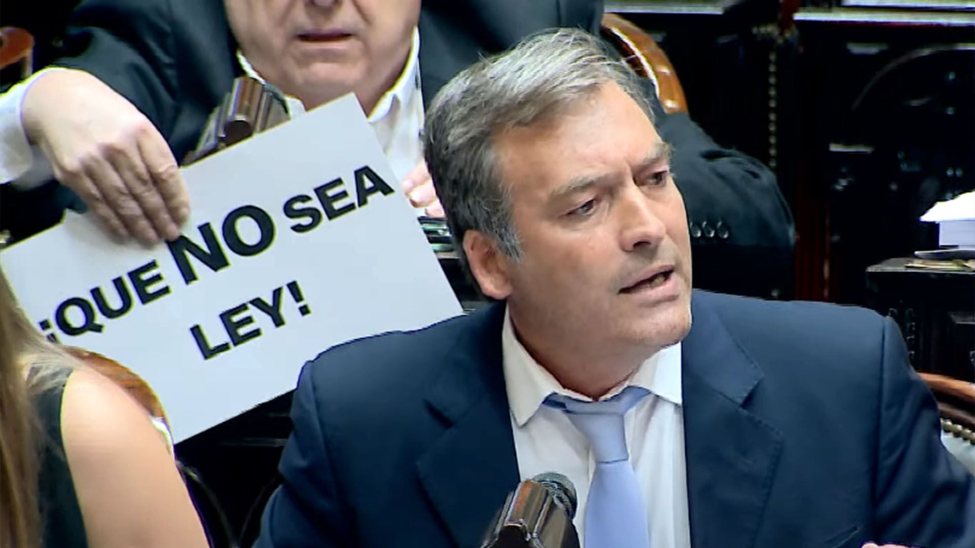 Debate de la Ley Ómnibus en el Congreso carteles que no sea ley capturas