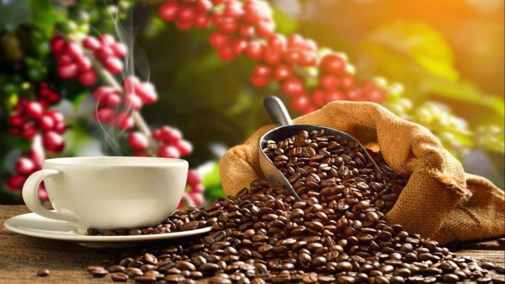 Adaptarse al cambio con el paso de los años, cómo el café puede influir en nuestras rutinas y hábitos de sueño
(Andina)