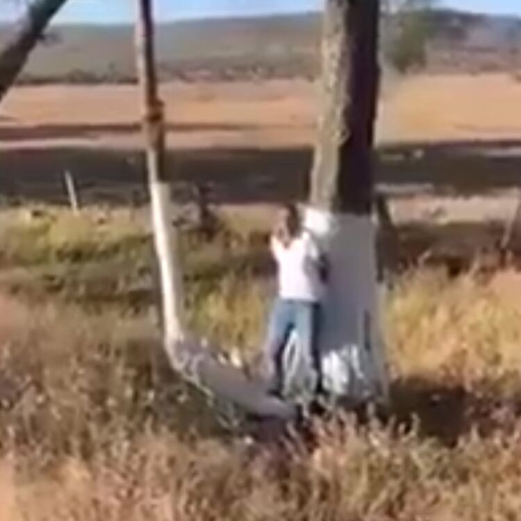 En el video puede verse un hombre recargado en un árbol en un campo baldío, en el que es amenazado por sujetos armados (Foto: captura de pantalla)