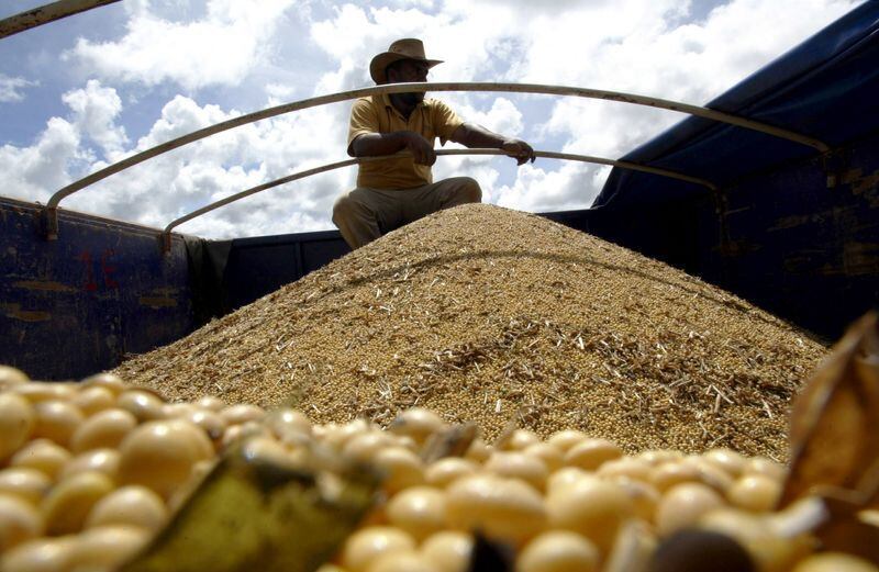 Las primeras proyecciones de la Bolsa de Comercio de Rosario dan cuenta que la campaña 2023/24 tendrá incrementos del 4% para la producción de trigo, 65% en la de maíz y 140% en la de soja (Reuters)