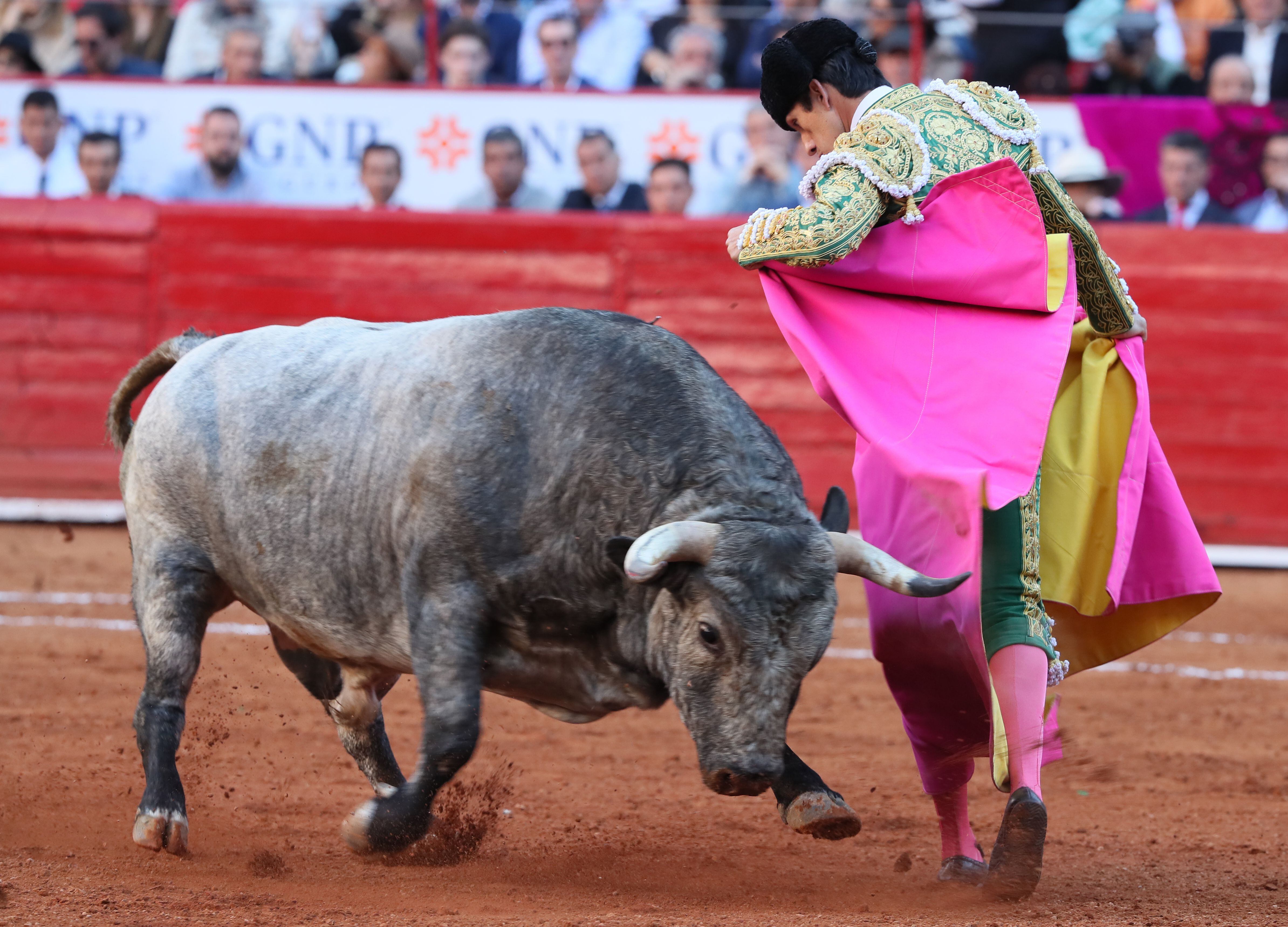Corridas de toros son maltrato animal. EFE/Mario Guzmán
