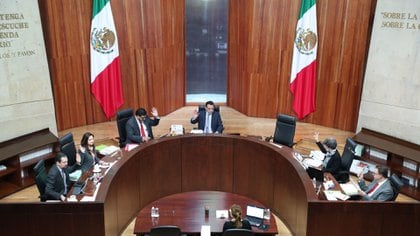 El Tribunal Electoral validó a Delgado y a Hernández en su sesión a distancia de este miércoles (Foto: Cuartoscuro)