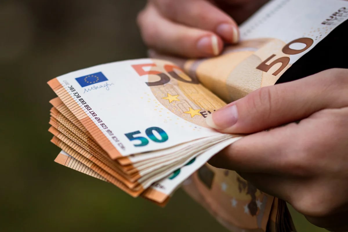Cuál será el diseño de los nuevos billetes de euro?: Pájaros y ríos entre  las opciones
