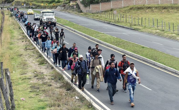 Migrantes venezolanos caminan en Perú tras cruzar la frontera ecuatoriana (AFP)