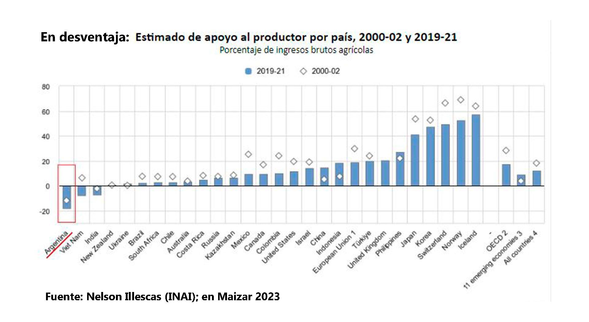 Maizar Maíz Bioeconomía Plásticos Agroindustria