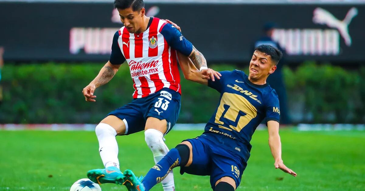Pumas vs Chivas: Fans complained about Ticketmaster not being able to print their tickets