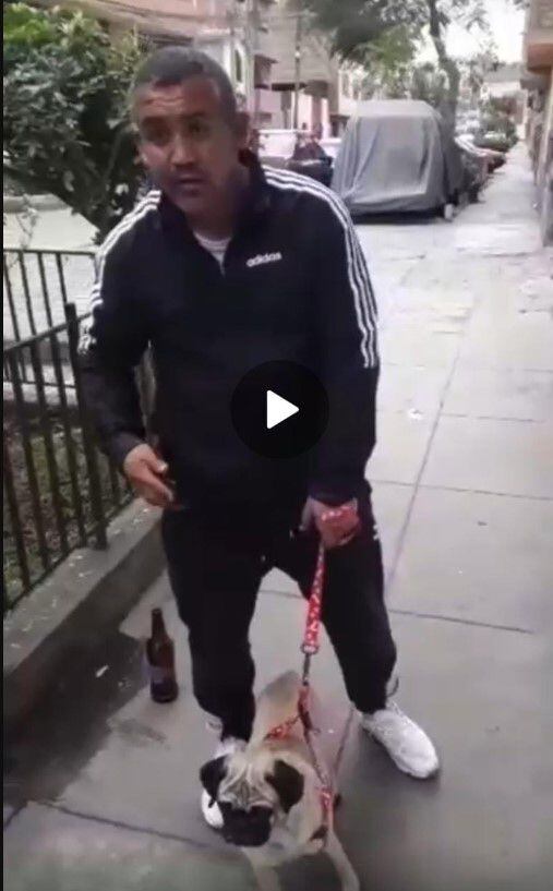 Sujeto atacó sin piedad a perrita en VES Crédito: WhatApp