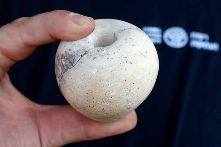 Una fotografía tomada el 6 de octubre de 2019 muestra una cabeza de palo de piedra (JACK GUEZ / AFP)