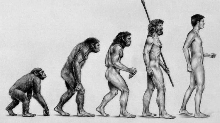 Darwin-evolucion-interior.jpeg