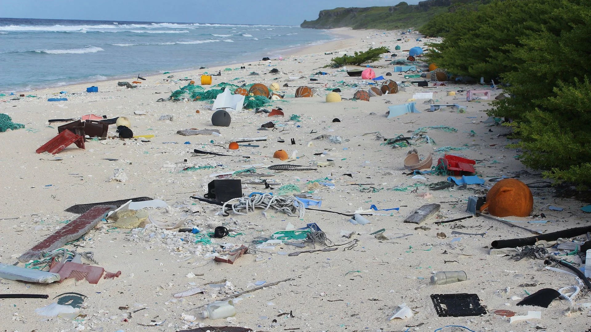 Residuos plásticos en East Beach, en la isla Henderson (Foto: Jennifer Lavers)