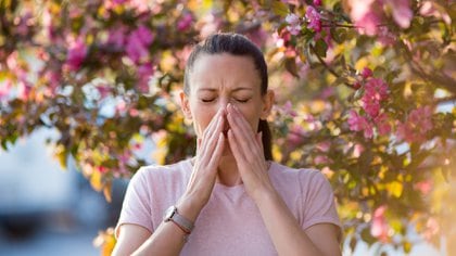 Uno de los factores que puede producir alergias es la liberación de polen de los árboles, moho y otros alérgenos ambientales que viajan por el aire
