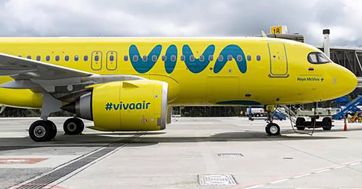 The government will control Viva Air: the Superintendence of Transport has given the company two days to present a recovery plan
