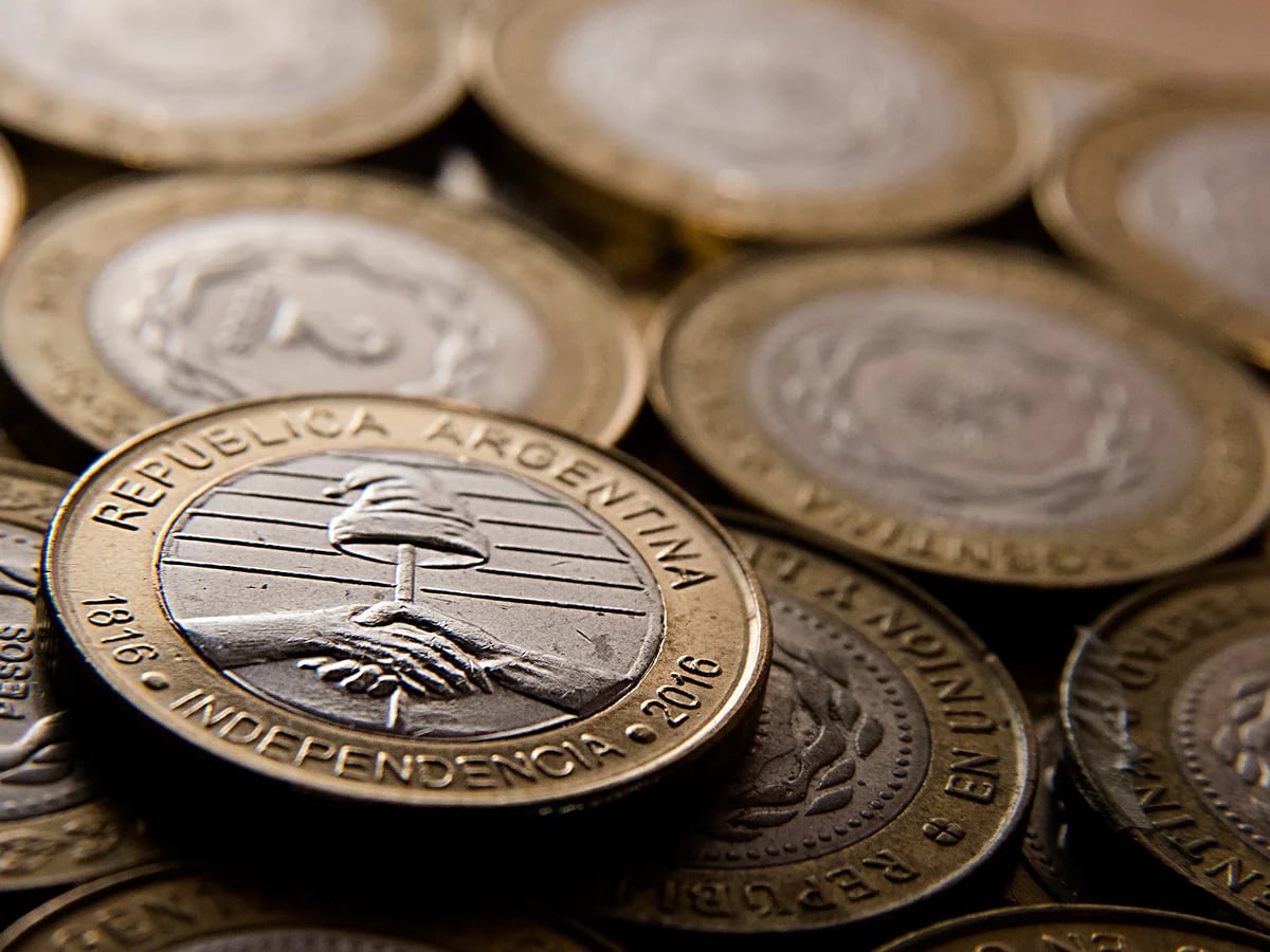 Restaurar mentiroso proteger Compro monedas por kilo”: por la disparada de los metales, los reducidores  ya pagan 4,5 veces el valor de las monedas de 1 peso - Infobae