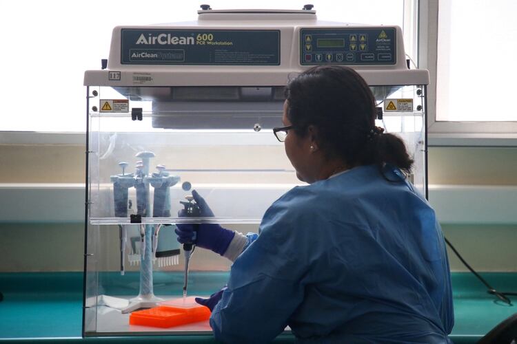 Especialistas realizan análisis de muestras en preparación para el estudio de posibles casos de coronavirus en el Instituto de Salud Pública de Chile (ISP), en Santiago (REUTERS/Edgard Garrido)