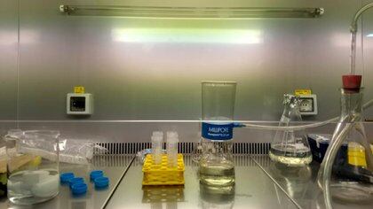 Laboratorio de la UBA donde se hacen mediciones y evaluaciones del proyecto de vacuna