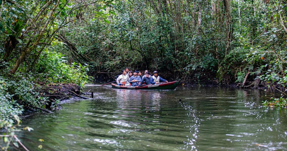 Discovery in the Peruvian Amazon: A previously unidentified animal was spotted at the San Martin Eco Reserve