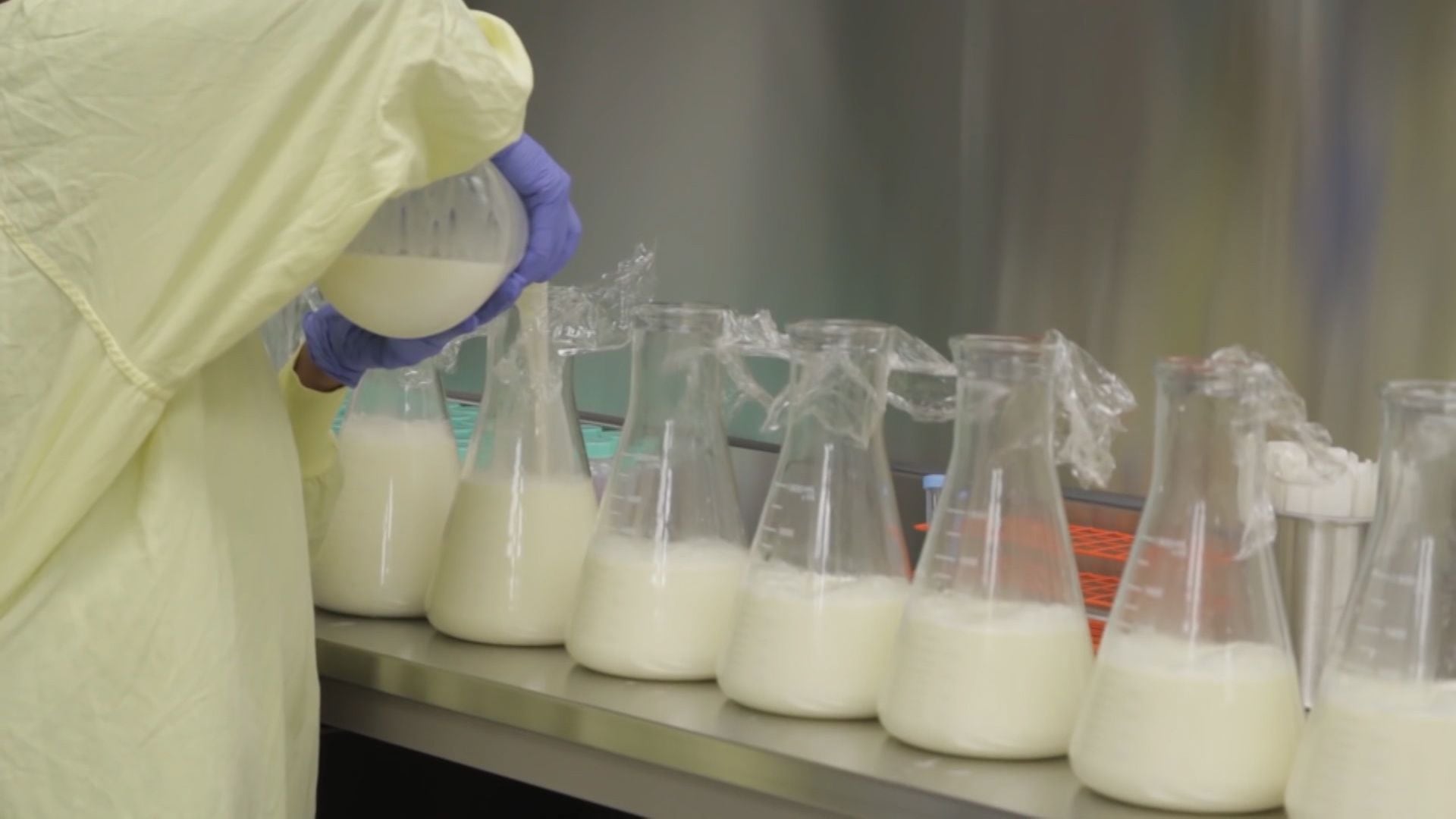 La leche materna tiene el poder de regenerar la materia blanca cerebral, según la investigación de la Universidad de Duke