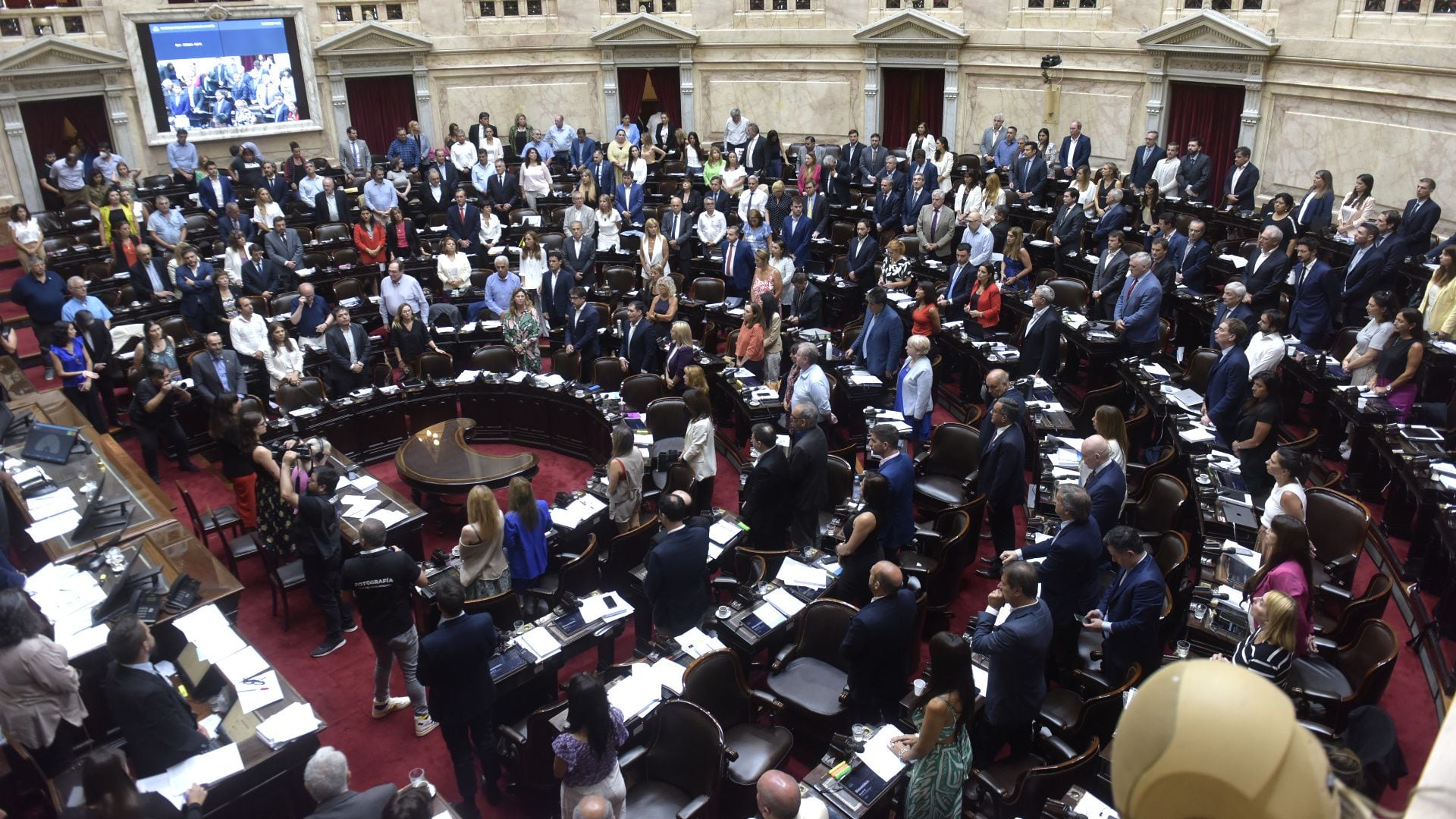 La Cámara de Diputados debate en particular la Ley Ómnibus