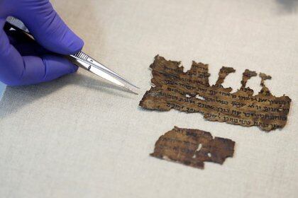 Los fragmentos de los Rollos del Mar Muerto que se sometieron a muestreo genético para arrojar luz sobre el tesoro bíblico de 2.000 años de antigüedad se muestran a Reuters en el laboratorio de la Autoridad de Antigüedades de Israel, en Jerusalén. 2 de junio de 2020. REUTERS/Ronen Zvulun