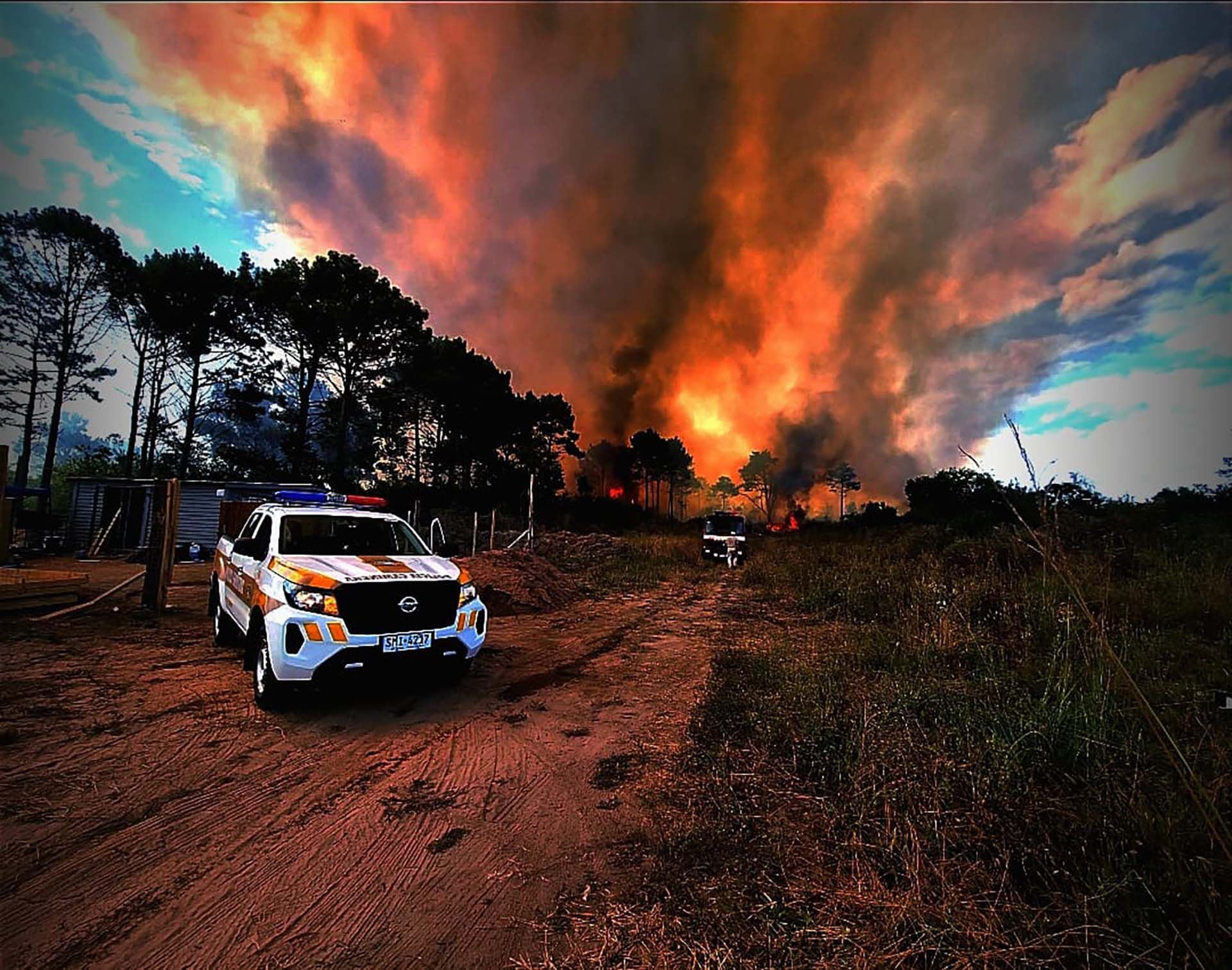 Comprender las causas y orígenes de los incendios es esencial para enfrentar y prevenir futuras catástrofes