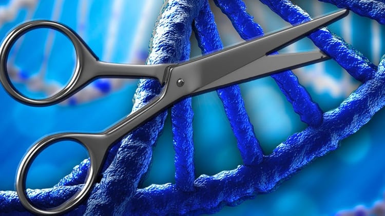 CRISPR es la tecnología genética que puede revolucionar todo lo conocido hasta ahora (iStock)