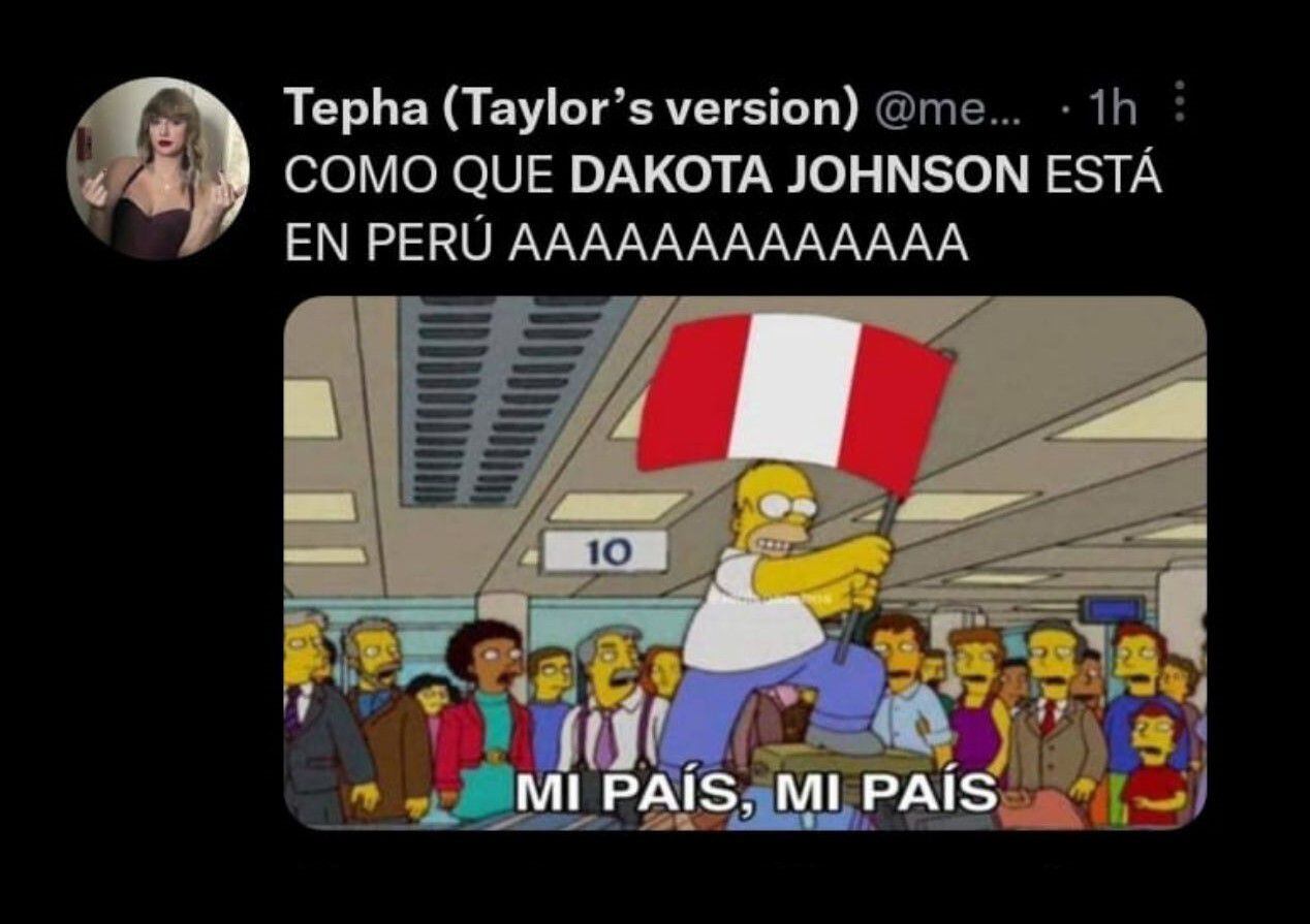 Fans celebraron la llegada de Dakota Johnson al Perú. (Twitter)