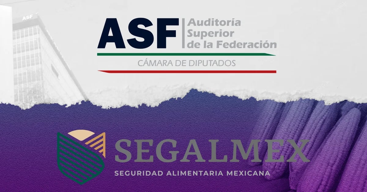 ASF report: more than 840 million pesos in irregularities and 12 complaints for Segalmex