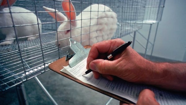 ExperimentaciÃ³n: Â¿CuÃ¡l serÃ¡ el destino de los animales usados en los laboratorios?