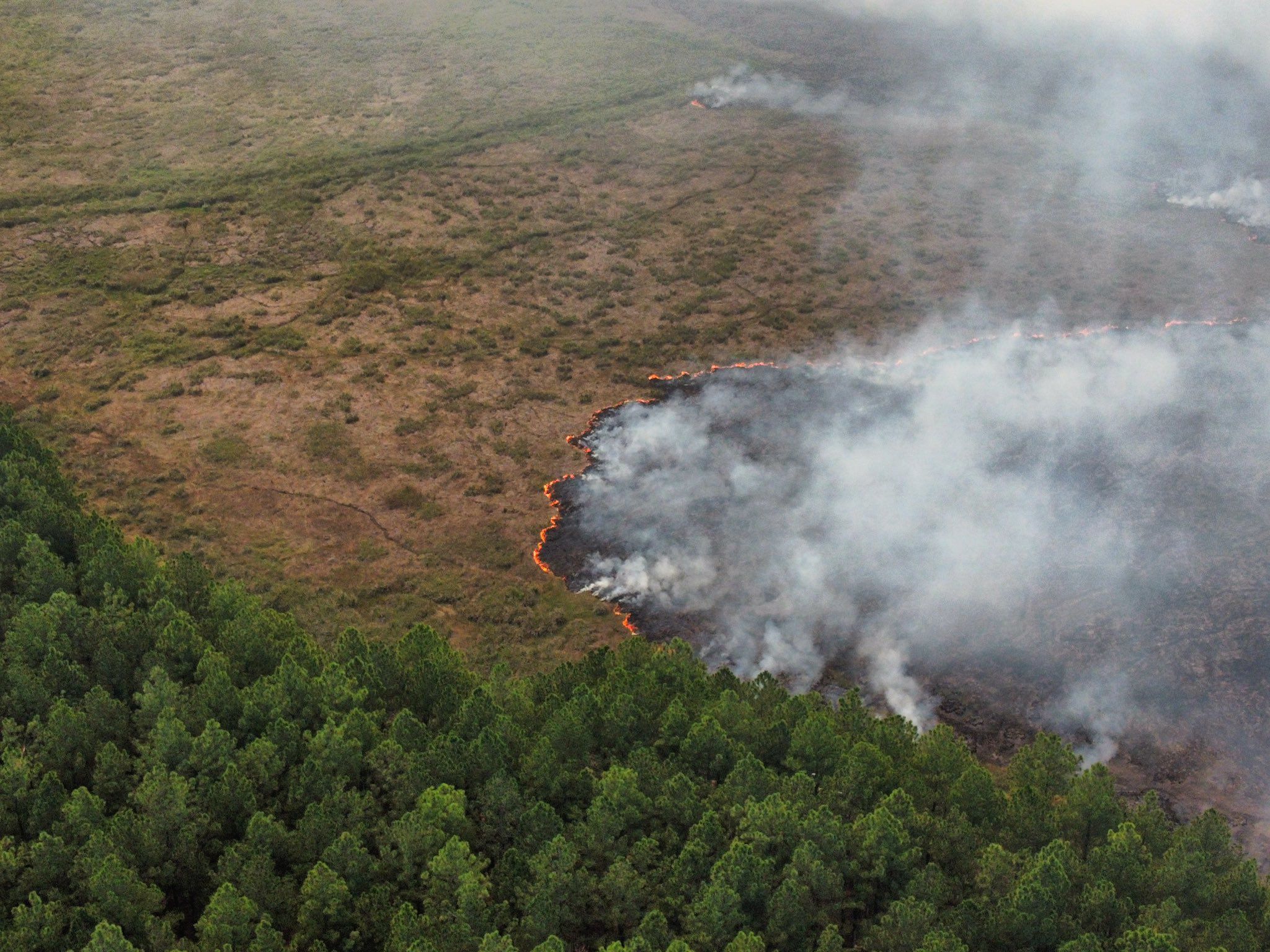 Los incendios liberan 1.800 millones de toneladas de gases de efecto invernadero, según datos de la ONU
(Twitter @CorrientesGob)