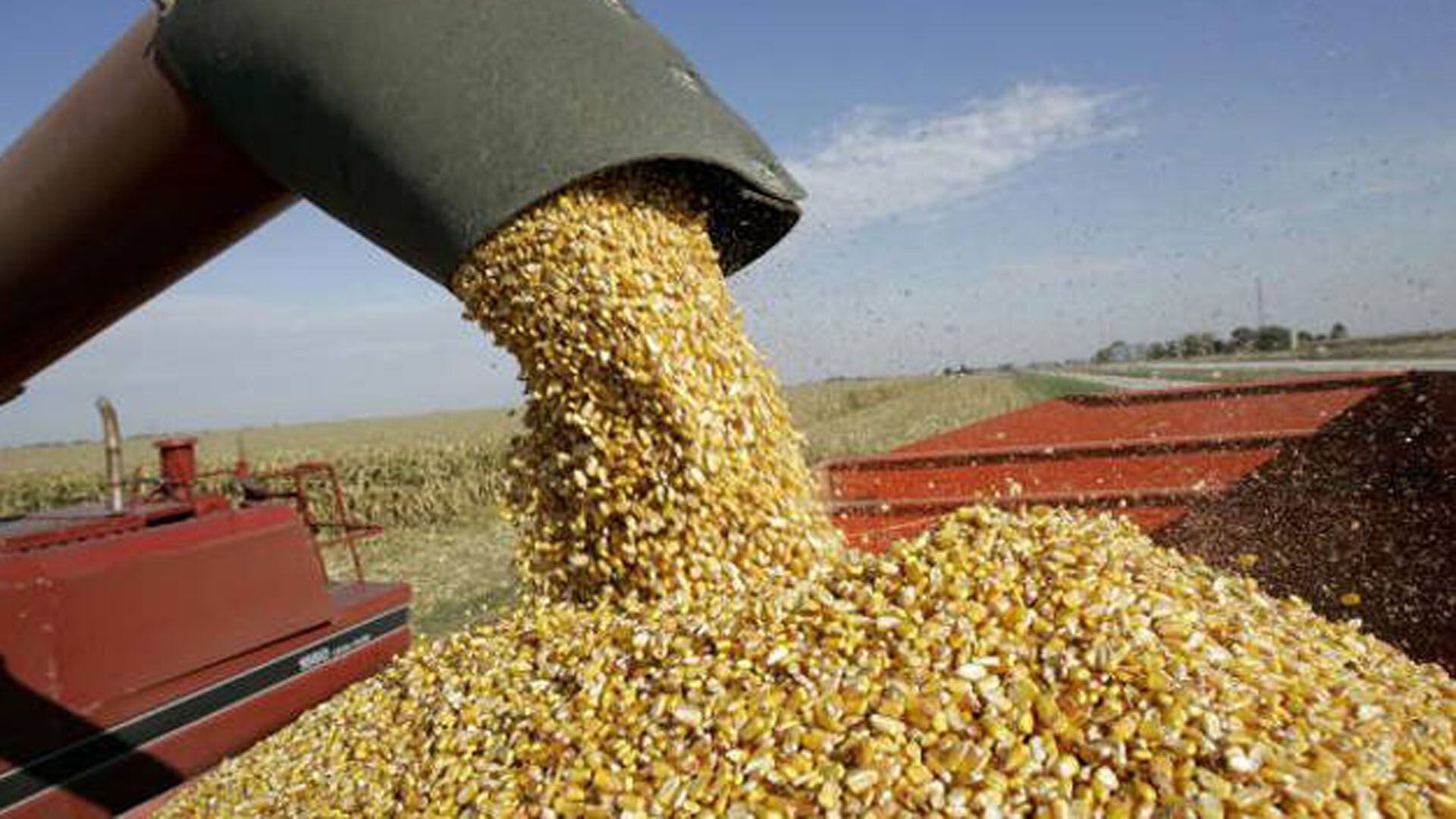 Con la inclusión del maíz, el Gobierno espera recaudar USD 2.000 millones en esta nueva etapa del dólar agro
