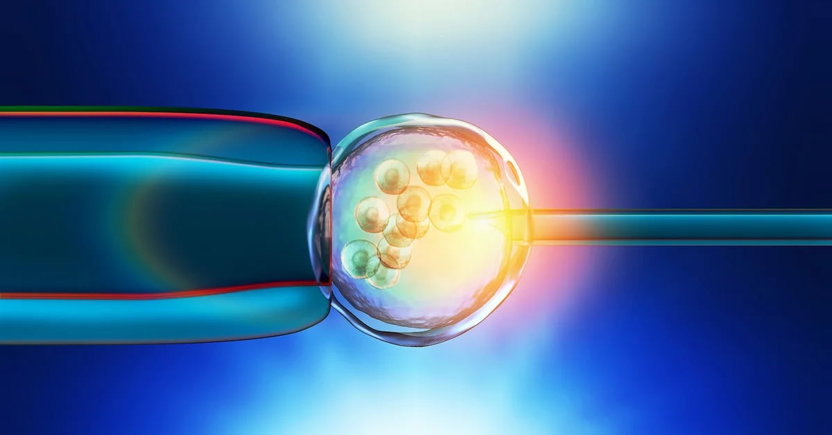 Embryo cryopreservation, the debate under the gaze of three reproductive medicine experts