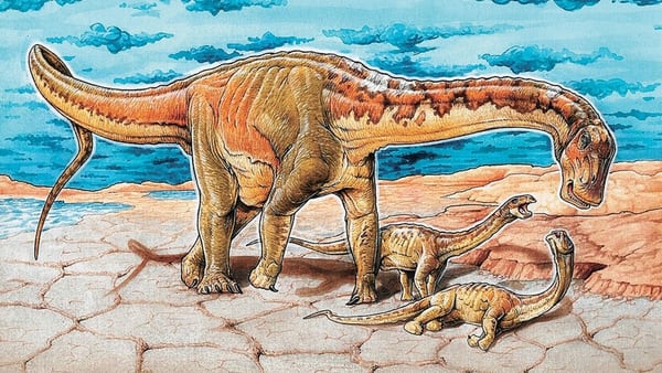 La nueva especie de dinosaurio fue nombrada Lavocatisaurus agrioensis.